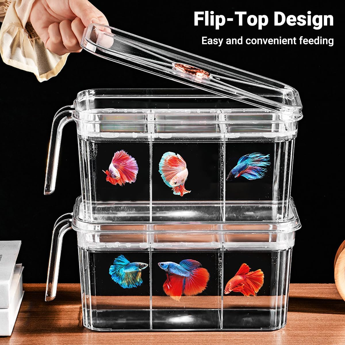 AIMALL Desktop Fish Tank, 9.25 X 5.51 X 5.51 Inch Transparent Mini Aquarium with Lid, Three-Division Design for Betta or Goldfish, Living Room and Office Use image number 4