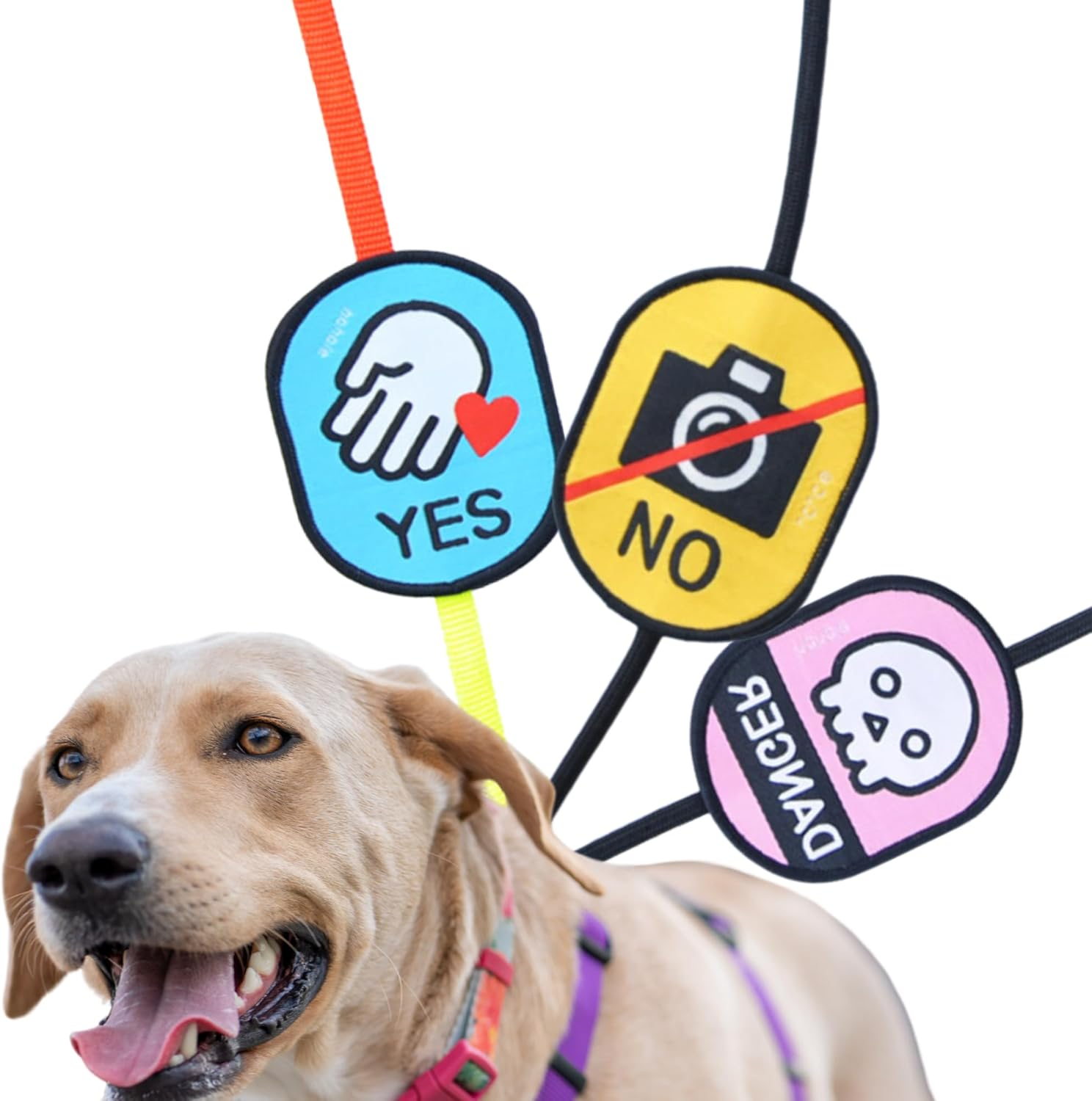 Social Badge for Dog Leash, Dog Funny ID Tags Patch Outdoors, Velcro Fastening, No Touch Yes Touch No Feeding No Photo of the Label and Sticker for Petsus (No Touch+Danger) image number 1