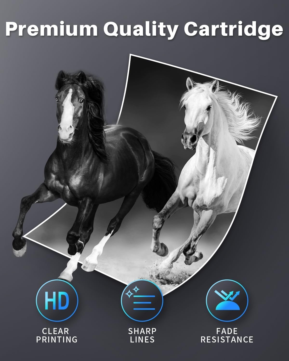 TN2450 Toner Cartridge (3,000 Pages) Compatible for TN2450 TN 2450 TN-2450 High-Yield to Use with HLL2350DW HLL2375DW HLL2395DW MFCL2710DW MFCL2713DW MFCL2730DW MFCL2750DW（1 Black）