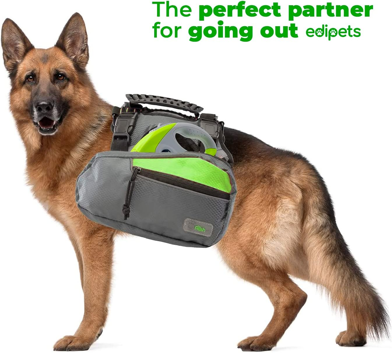 Edipets, Retractable Dog Leash, 5 Metres, Includes Bag Dispenser, Flexible Tape for Training and Walking, for Small, Medium and Large Dogs (Green, 5 Metres) image number 5