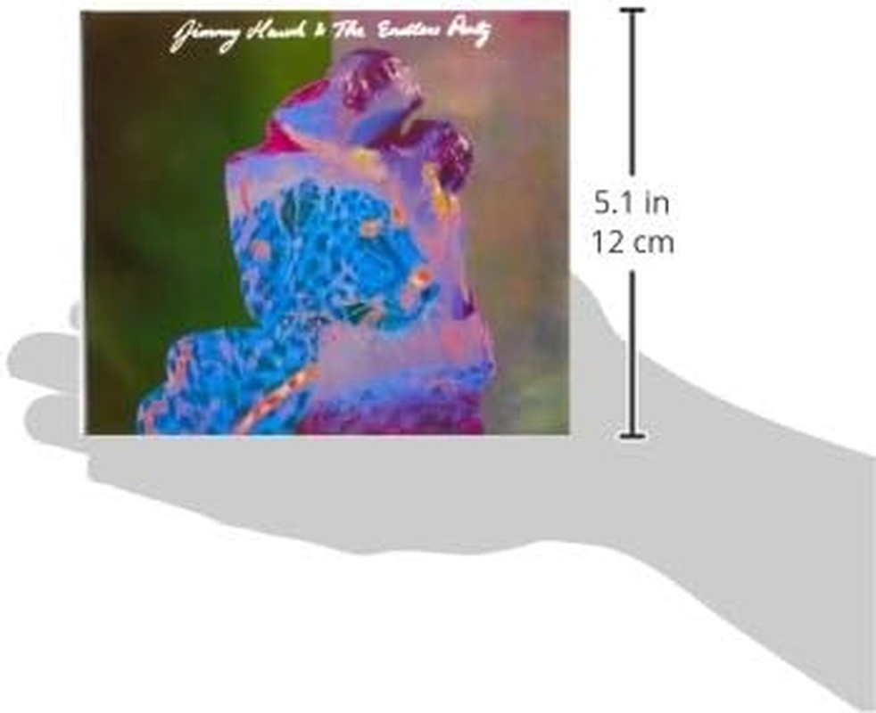 Jimmy Hawk & the Endless Party image number 2