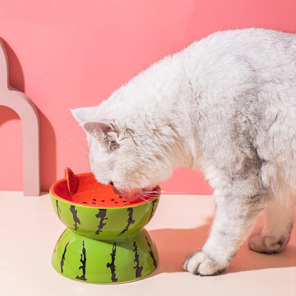 Raised Cat Food Bowls Ceramic Elevated Cat Bowl 5 Inches Wide Cat Bowls for Food and Water, Tilted Cat Dish for Flat Faced Cats and Kitten, Cat Feeding Bowl Dishwasher Safe (Watermelon)