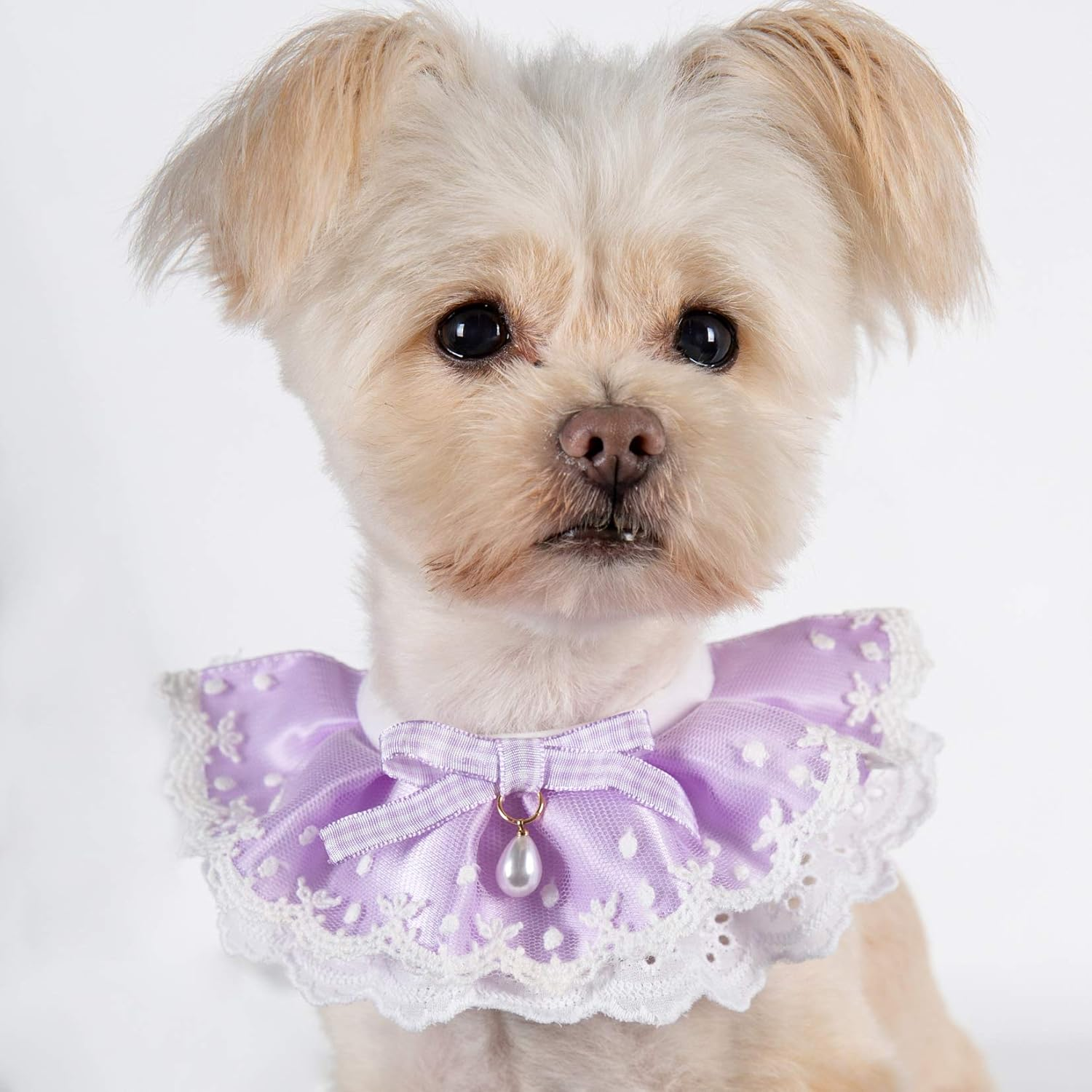 FUN LAVIE 2PCS Dog Cat Collar Water Drop Pearl Bow Lace Pet Bib Cute Scarfs Necklace Neck Strap for Pet Costume Supplies Purple image number 5