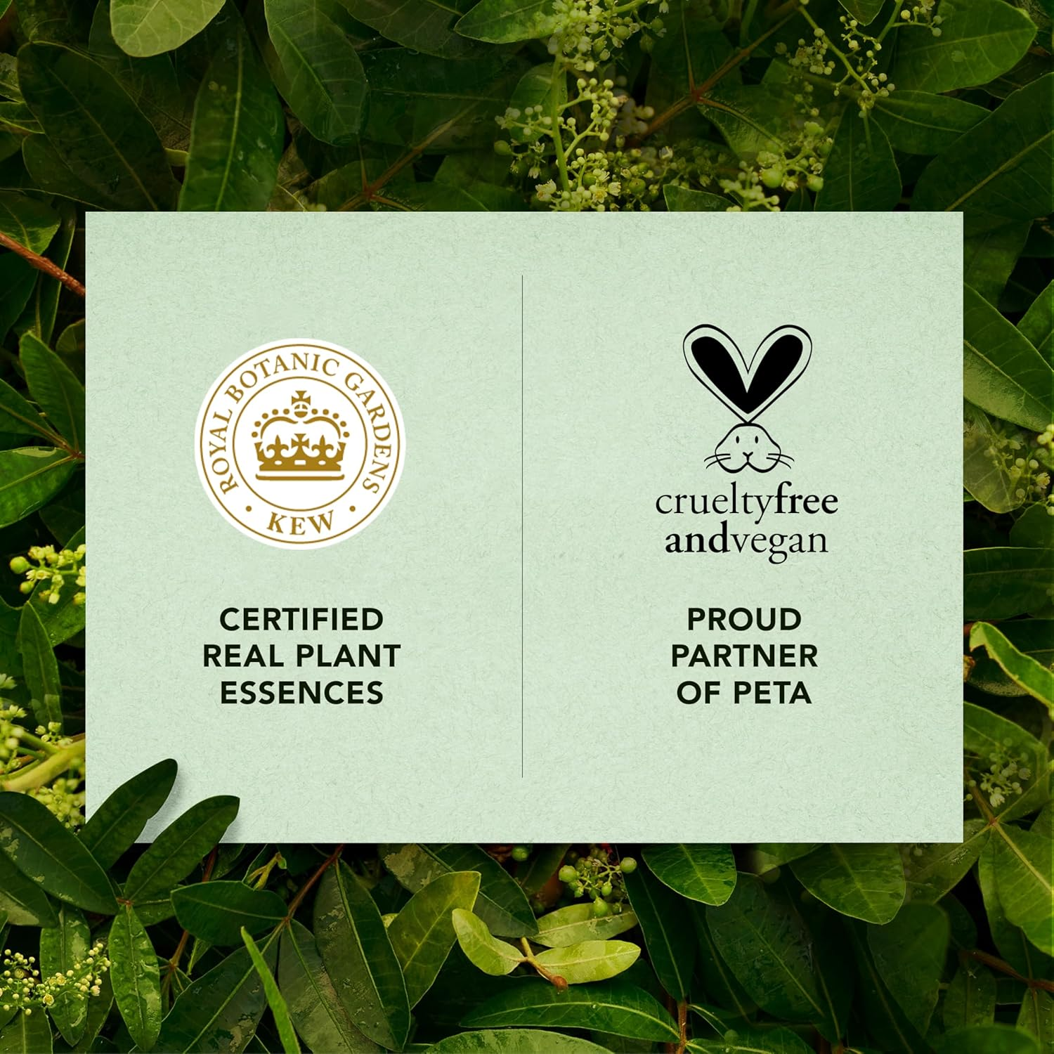 Herbal Essences Bio Renew White Strawberry & Mint 600Ml Conditioner image number 1