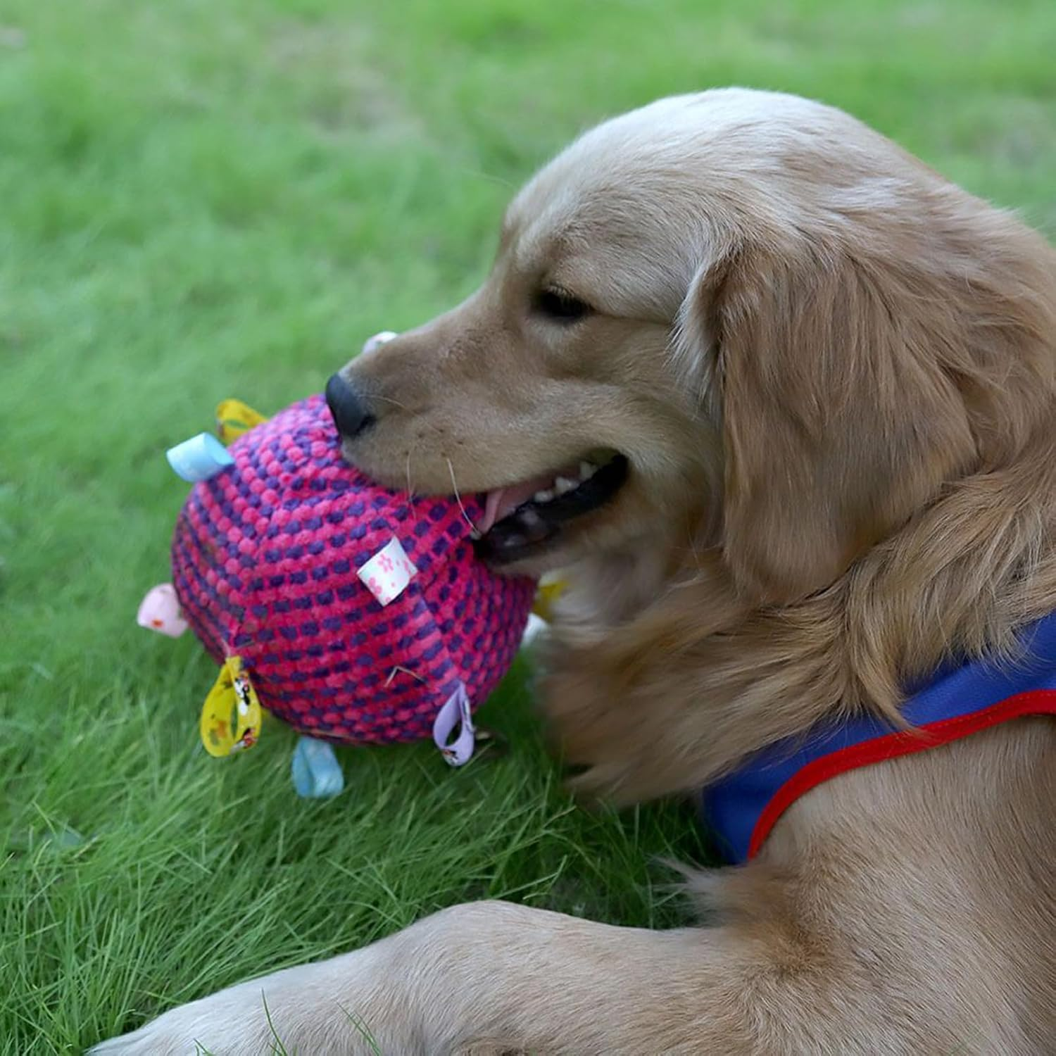 Dog Ball | Training Dog Toys Balls,Squeaky Pet Supplies Soft Game for Indoor Cats Chewing Home Training Playtime Kitten Puppy Outdoor image number 2