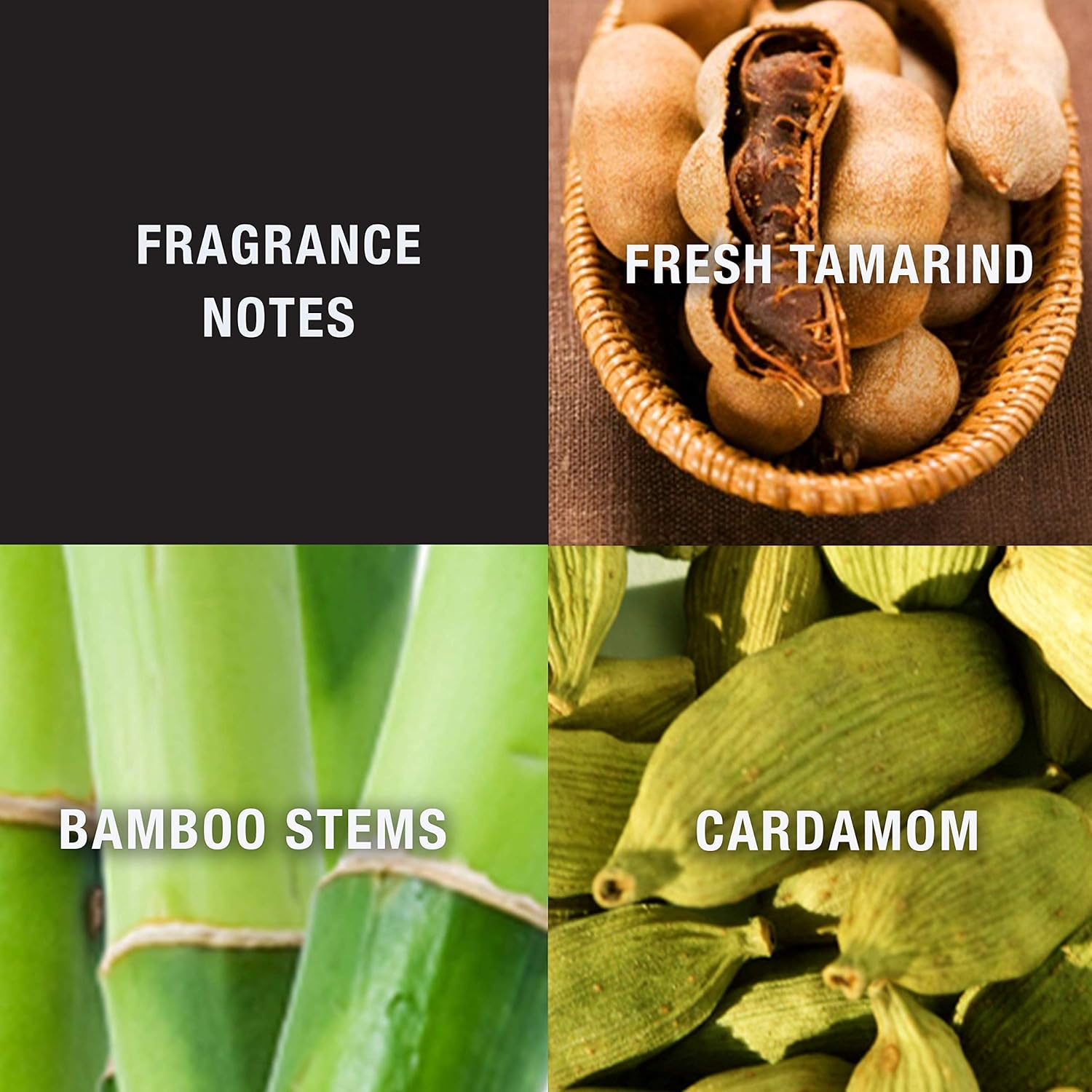 Liz Claiborne Lucky You Lucky Brand Cologne Spray for Men, 100Ml (LUCF21810) image number 1