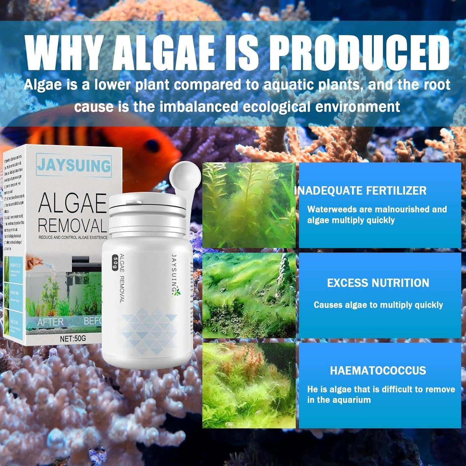 Algal Removal Tablet，Tank Moss Remover Aquarium， Fish Tank Cleaning Agent ，Aquarium Supplies for Fish Tank Algae Removal and Water Purification image number 2