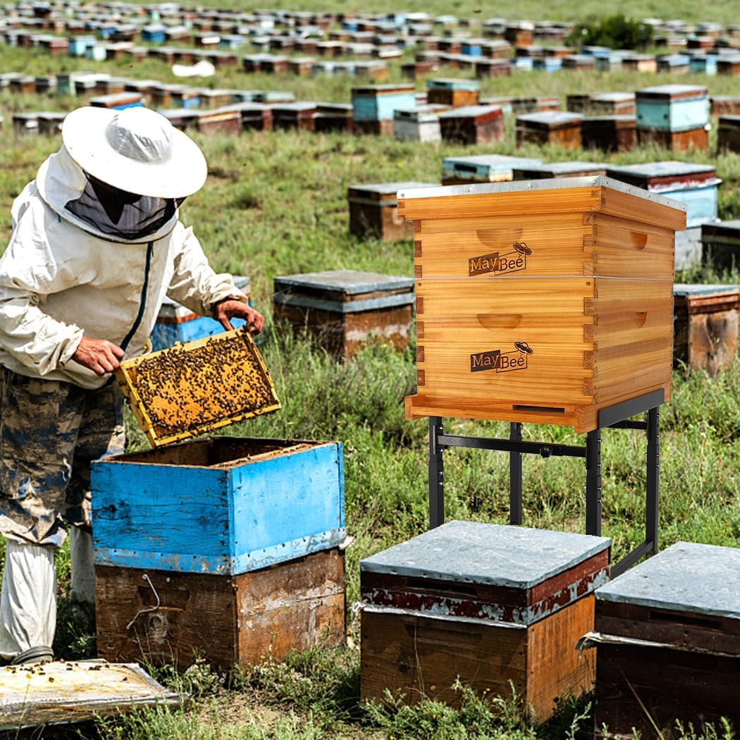 Maybee Adjustable Metal Bee Hive Stand, Adjustable Height(16.1&rdquo;-20.9&rdquo;) Hive Stand, Adjustable Width(15&rdquo;-19&rdquo;) Bee Hive Frame Stands Hive Stand Frame image number 1