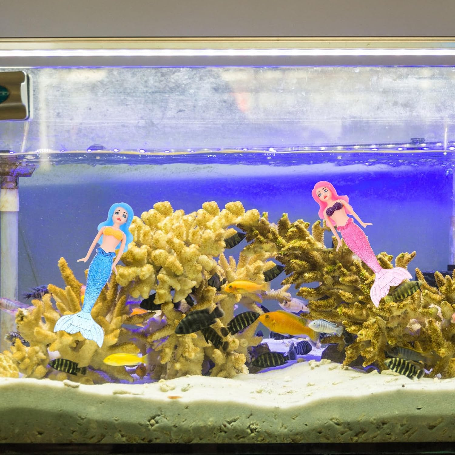 4Pcs Diving Toys Swimming Pool Water Swimming Toys Pool Diving Game Sinking Mermaid Toy Pool Games Pool Toys for Water Toy for Pool Rings for Diving Plastic ERINGOGO