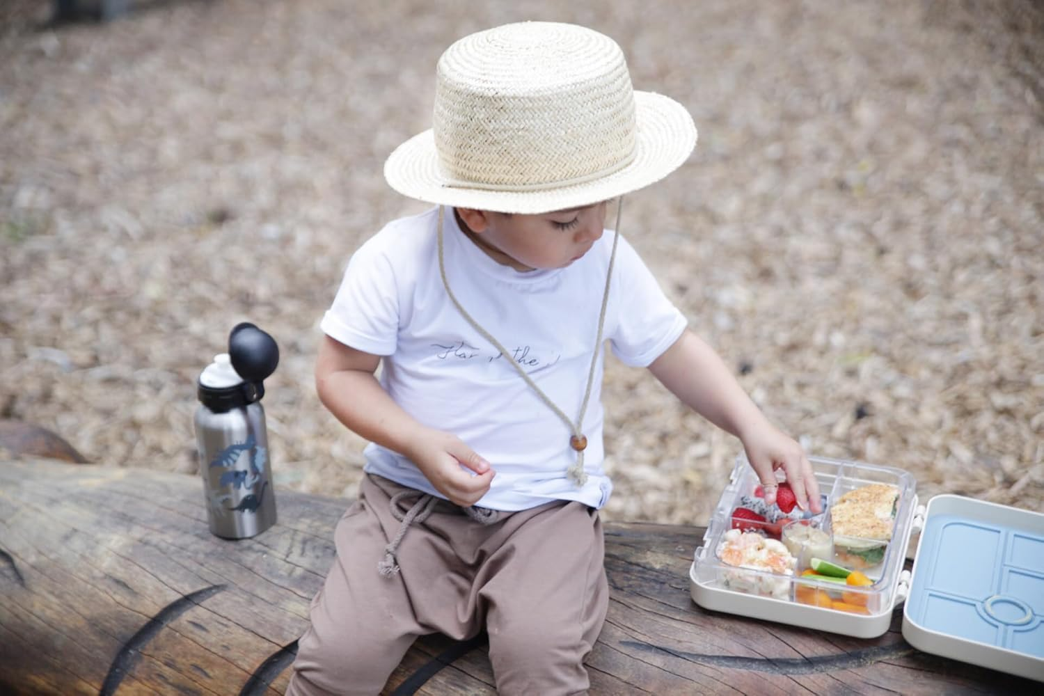 My Family Stainless Steel Kids Drink Bottle - BPA Free, Non-Toxic, Eco-Friendly, Reusable Water Bottle for Toddlers & Preschoolers (400Ml) - T Rex Dino image number 1