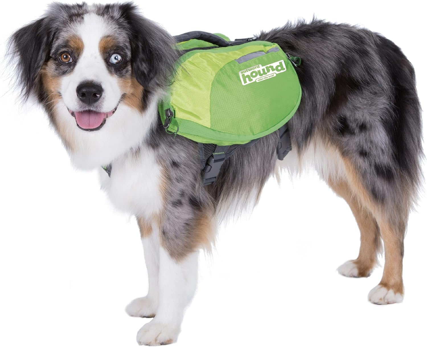Outward Hound Daypak Green Dog Saddleback Backpack, Large
