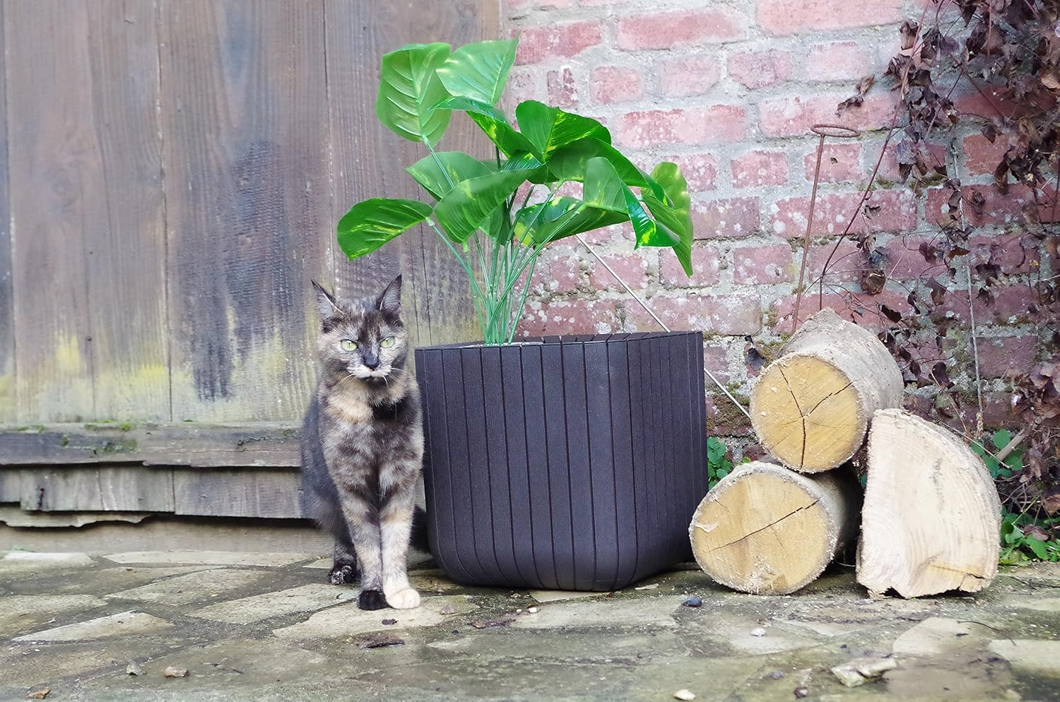 Keter Small Wood Cube Planter, Brown image number 3