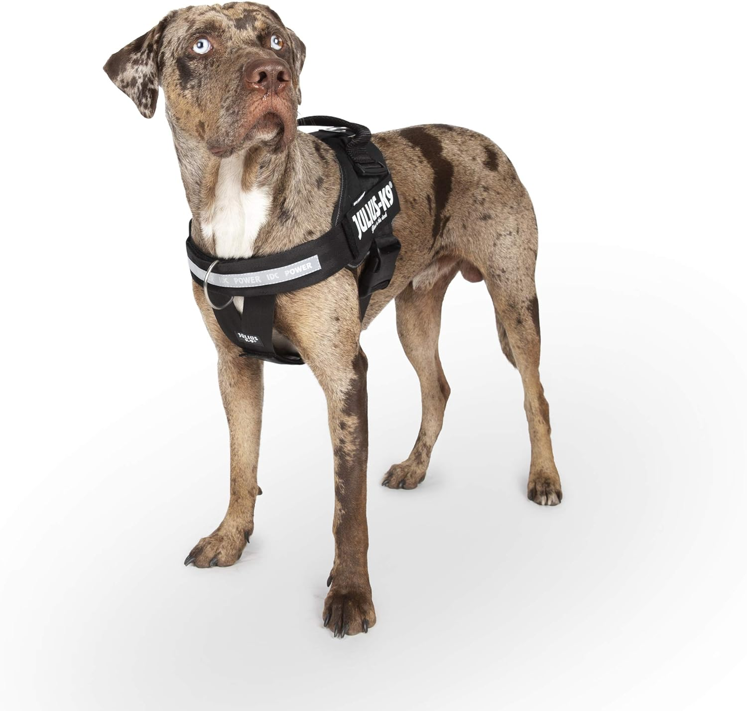 IDC Powerharness, Dog Harness with Front Control Y-Belt, Size: 0, Black image number 5