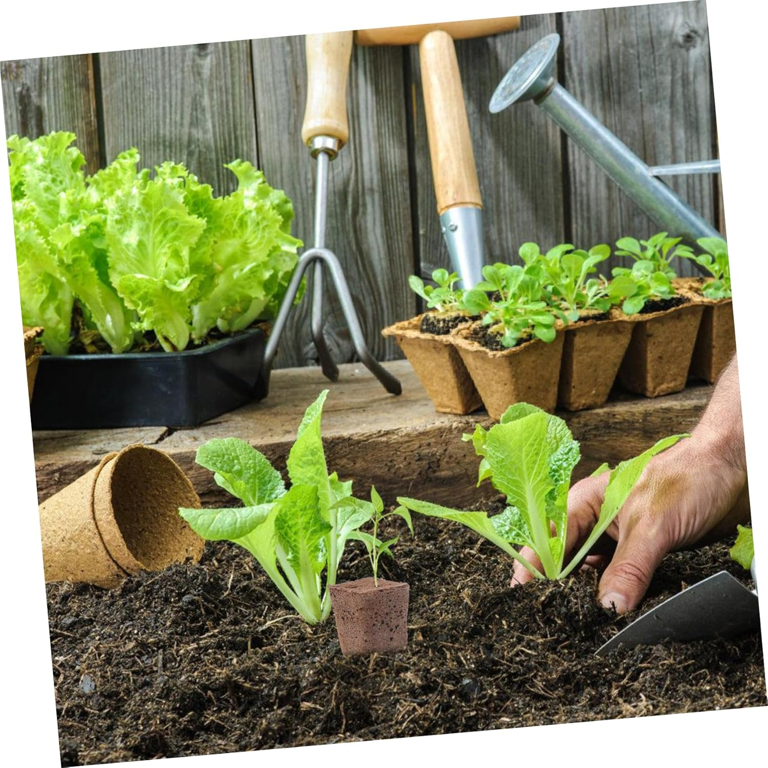 OFFSCH 40Pcs Hydroponic Starter Blocks Grow Cubes Plugs for Home Gardening Blocks Air Permeability Nutrient-Rich Planting Supplies image number 1