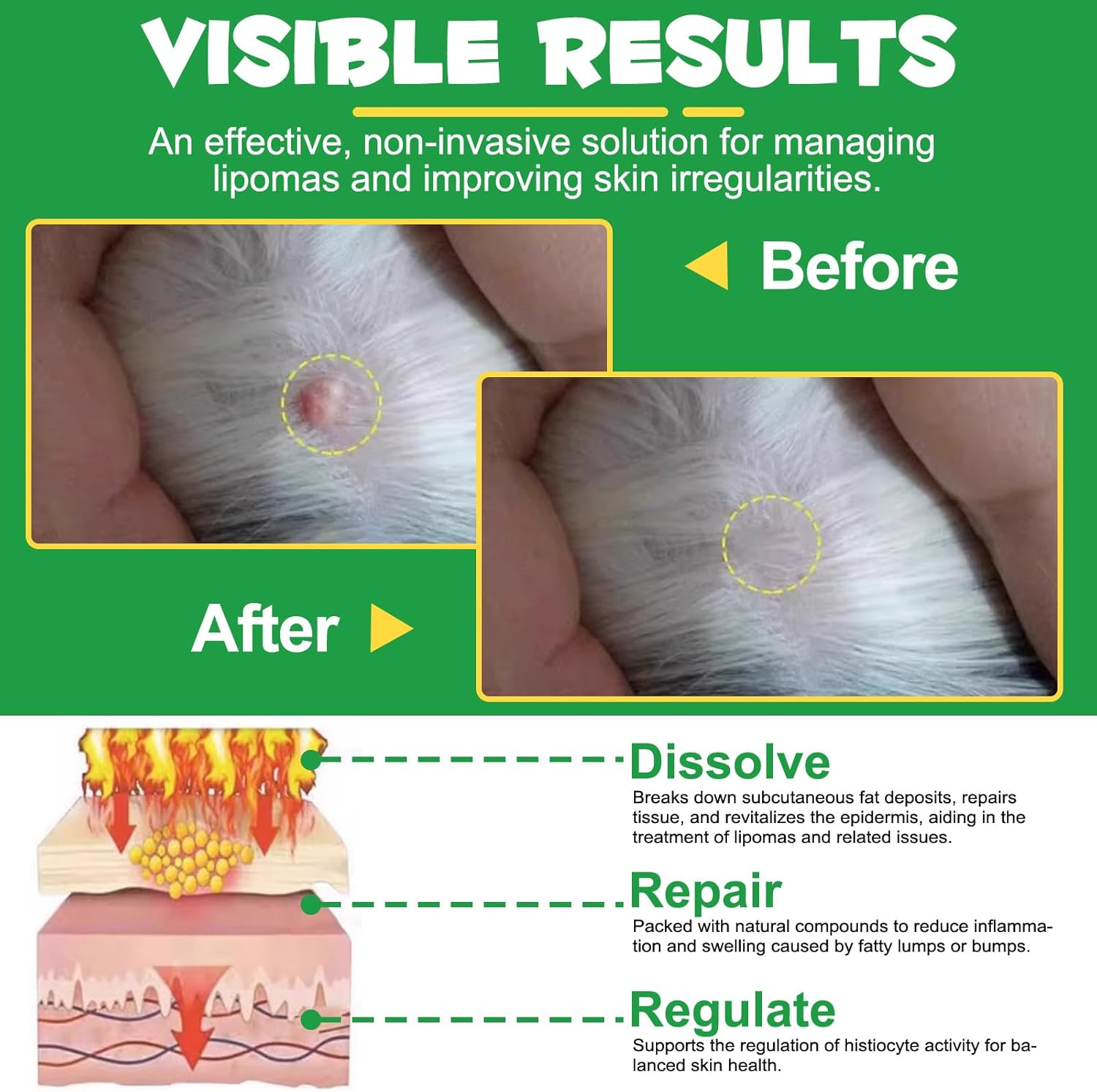 Dog Lipoma Support Drops 60Ml | Black Castor Oil, Flaxseed Oil, and Vitamin E | Natural Skin and Coat Care | Gentle Formula for All Dog Breeds image number 2