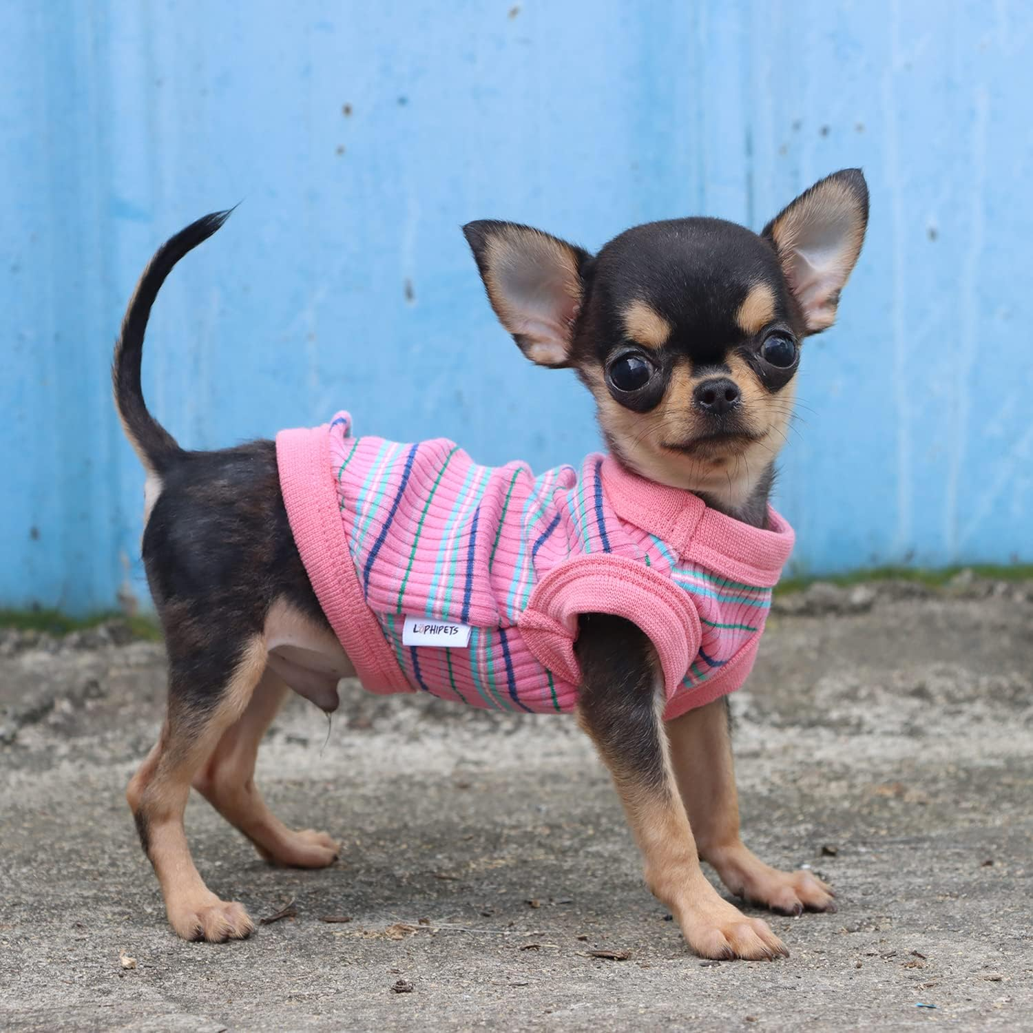 LOPHIPETS 100% Cotton Rib Dog Shirt Vest for Small Dogs Teacup Chihuahua Yorkie Puppy Clothes Tank Tee-Pink/Xs image number 2