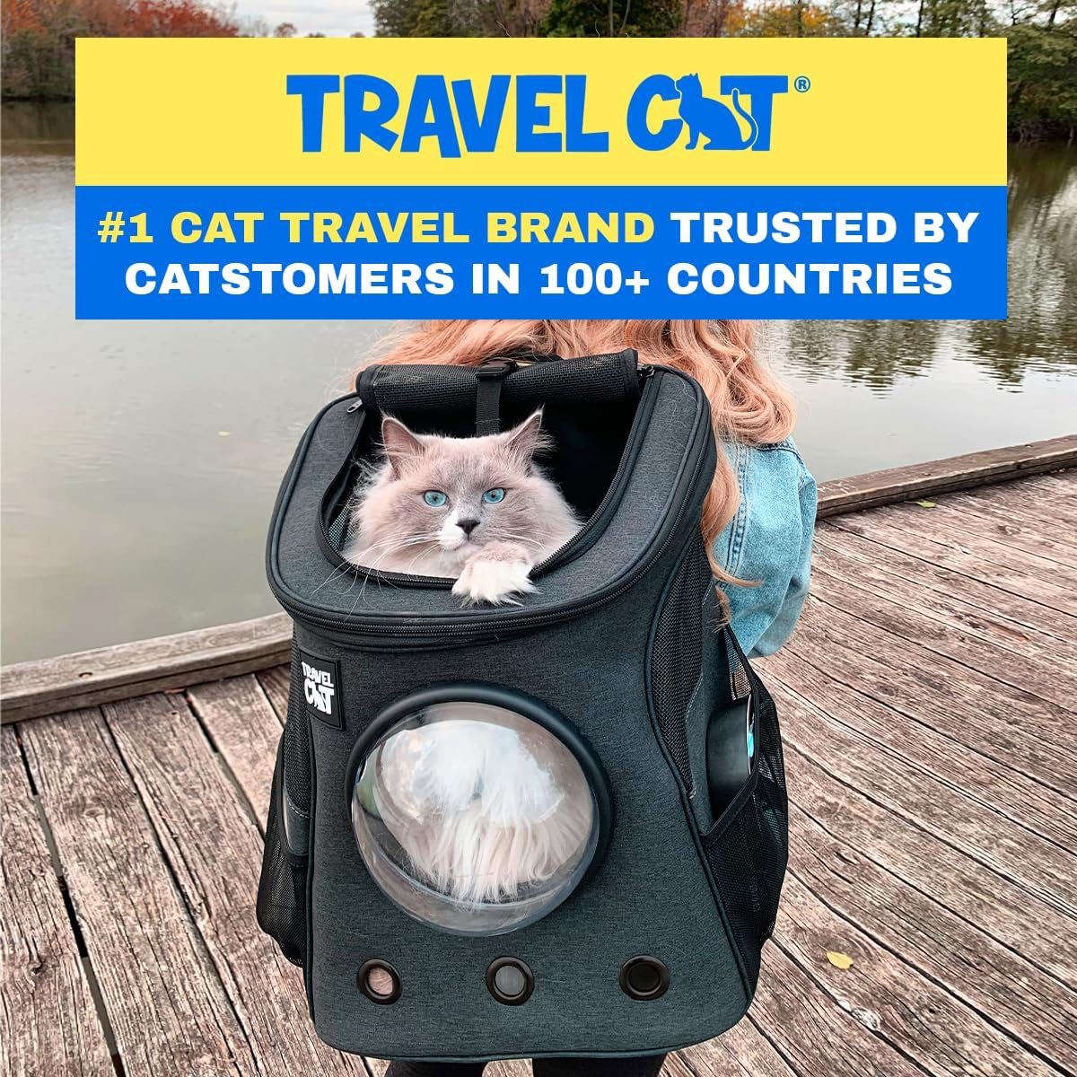 Fat Cat Backpack Carrier - Airline Approved Cat Carrier with Space Capsule Bubble for for Small Cats, Kitten - Premium Charcoal Cat Carrier Backpack for Outdoor, Travel, Hiking, Pet Supplies image number 1