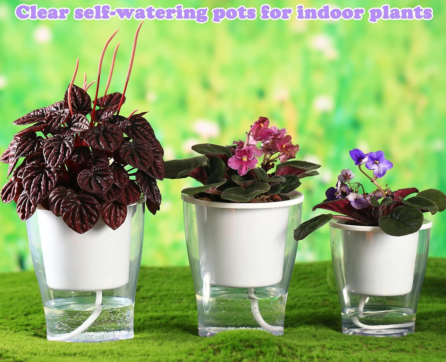 5-Pack 4.3 Inches Clear Self-Watering Planters Small African Violet Pots Plastic Plant Pots Wicking Flower Pots for Indoor Plants, Herbs, African Violet, Ocean Spider Plant, Orchid Pot, Garden Pots image number 4