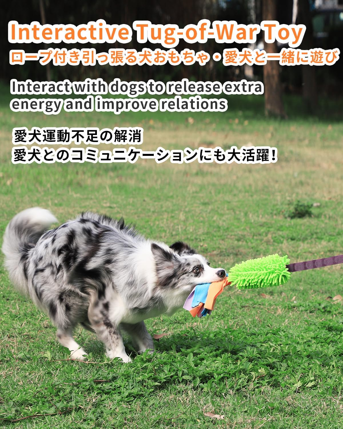 SCHITEC Tug Toy for Dogs, [2 Pack] Bungee Tug of War Squeaky Rope Toys for Exercise & Interactive Play Games, Puppy Training Pull Toy for Small Medium Large Dog image number 2