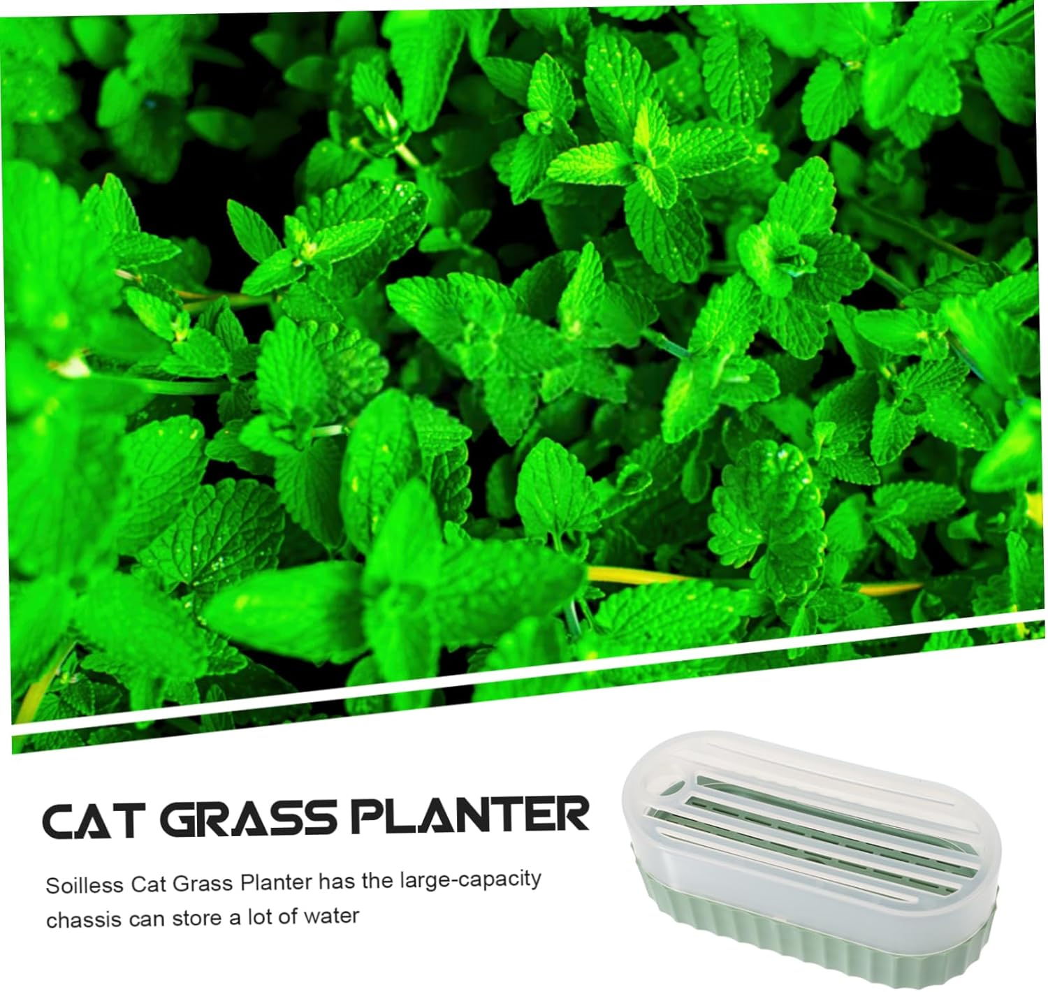 Cat Grass Planter Soilless Hydroponic Catnip Growing Box Creative Indoor Gardening Cat Supplies for Growing at Home image number 6