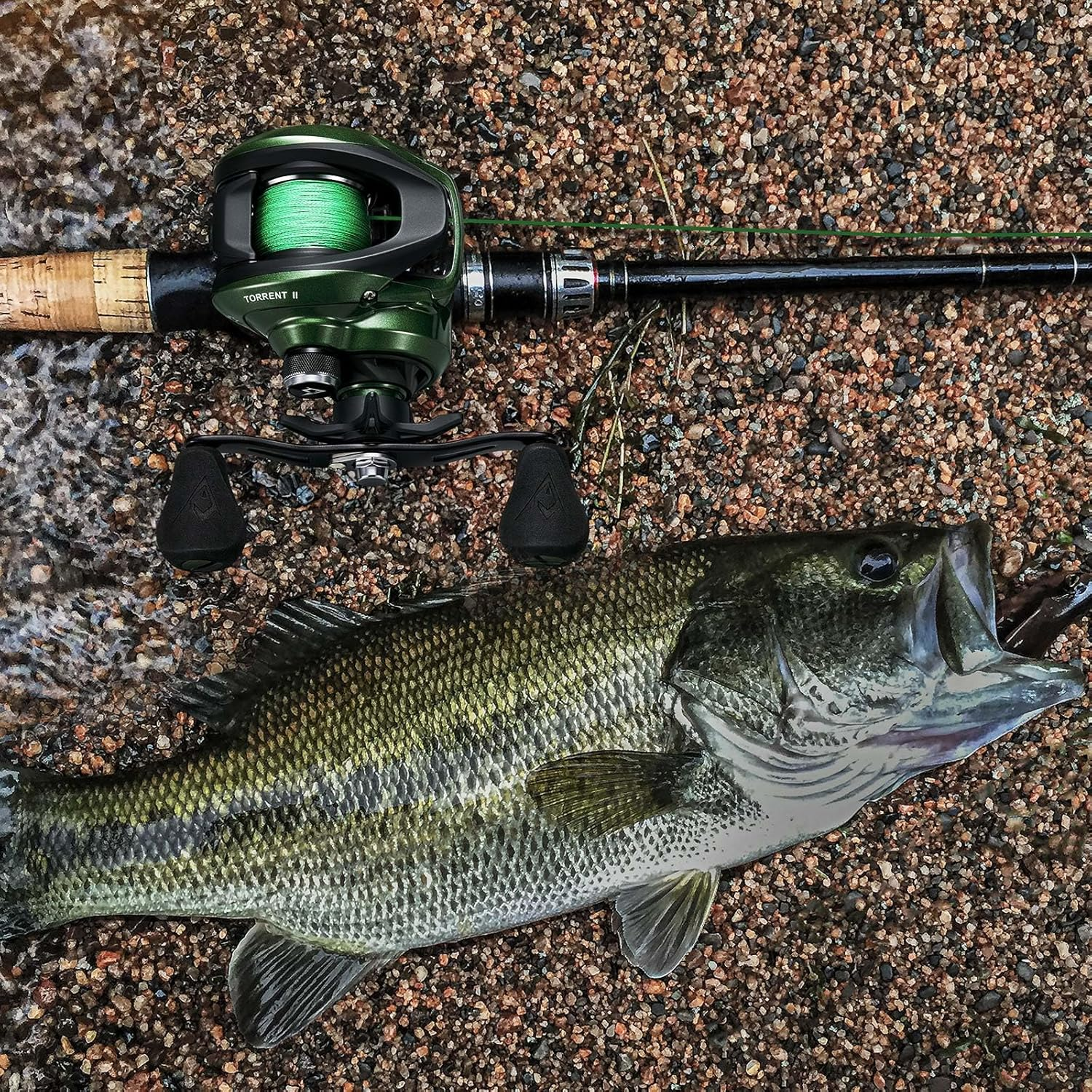 Piscifun Torrent II Baitcasting Fishing Reel, 20LB Carbon Fiber Drag Baitcasters, 6.6:1/8.1:1 Gear Ratio & Magnet Braking System Low Profile Casting Reel, Left/Right Handed image number 5