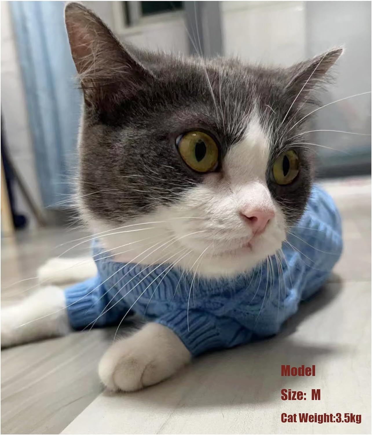 Small Dog Cat Sweaters, Puppy Jumper Sweater Warm Pullover Fleece Dog Jacket Winter Dog Clothes Cute Soft Turtleneck Knitted Classic Twist Striped Clothes for Small Medium Dogs Cat (Blue, X-Small) image number 4