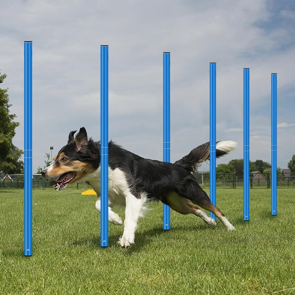 HOTOOLME Agility Training Poles Equipment Soccer Training Equipment Includes 6 Agility Poles,Agility Ladder, 10 Soccer Cones,Jump Rope for Speed Training, Soccer Training, Basketball Athletes & Kids - Blue image number 2