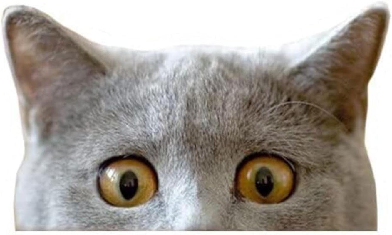 Cute Peeking Sneaky Cat Sticker Waterproof Indoor Outdoor Vinyl Decal, 5Inch Curious Peeking Kitty Cat Sticker for Car Window Bumper Laptop Motorcycle, and Any Other Smooth Surface (A)