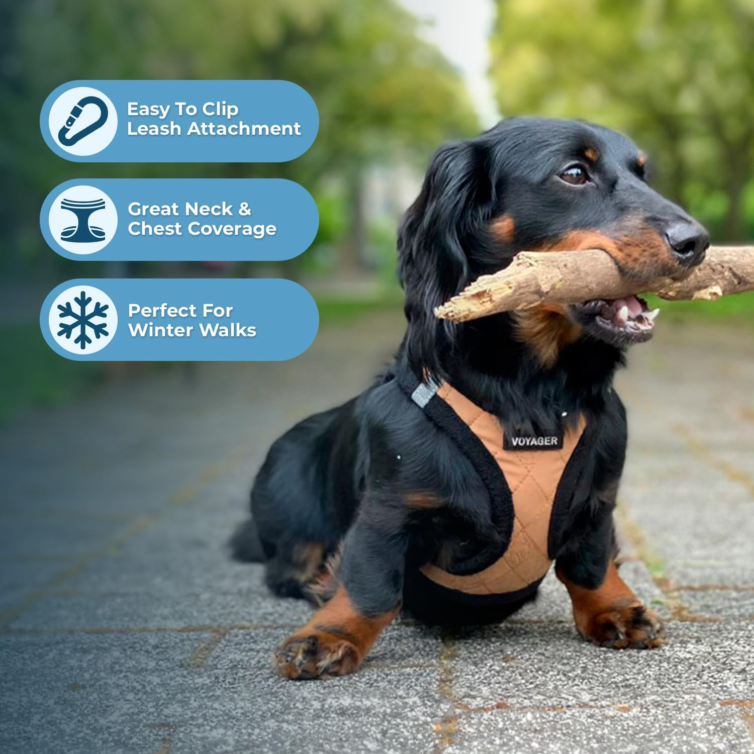 Best Pet Supplies, Inc. Voyager Step-In Plush Dog Harness - Soft Plush, Step in Vest Harness for Small and Medium Dogs - Beige Plush, Medium (Chest: 16" - 18") image number 6