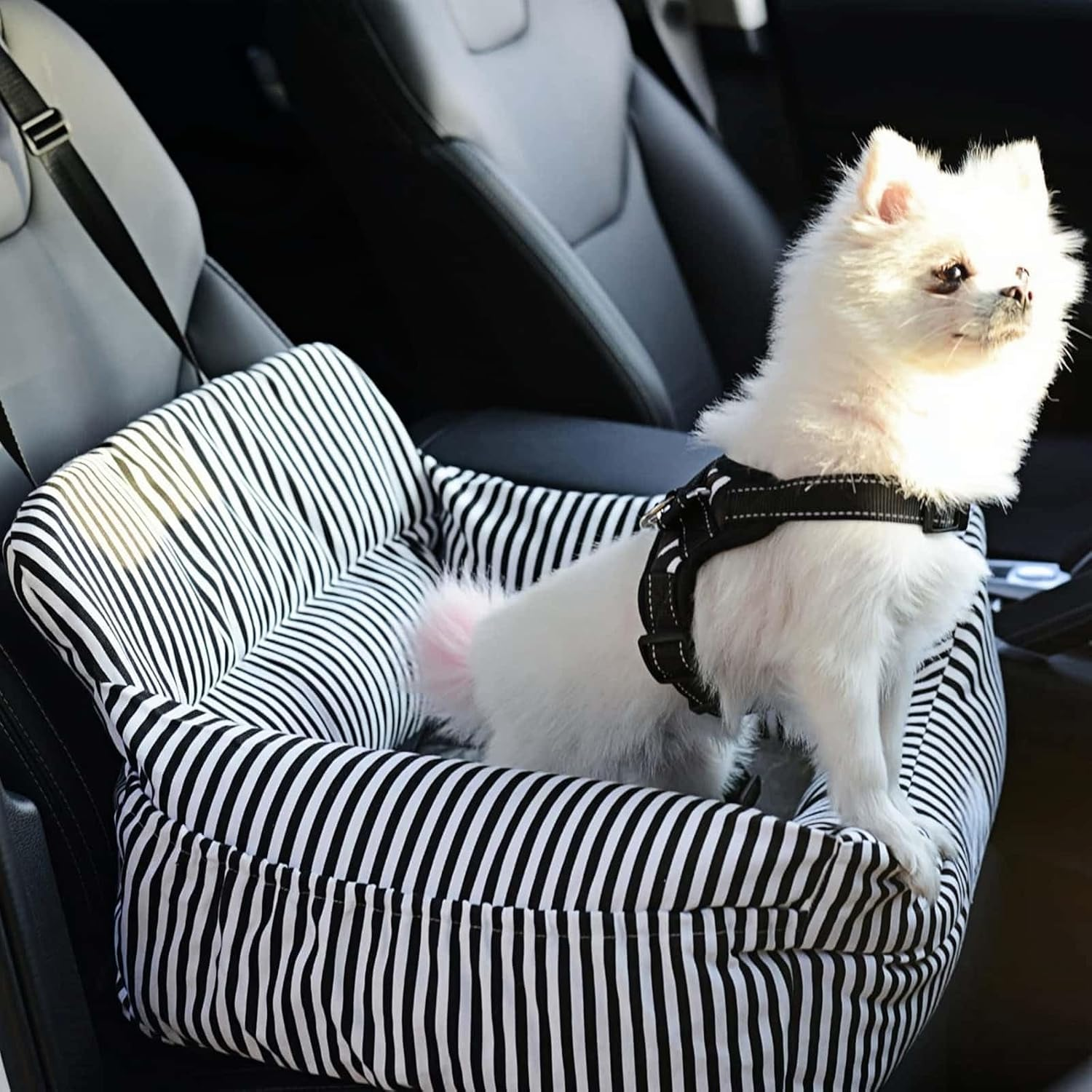 Dog Car Seat for Small Dogs, Detachable and Washable Pet Car Seat, Portable Dog Booster Seat,Dog Car Travel Carrier Bed with Storage Pockets and Clip-On Leash, Perfect for Pets up to 25Lbs image number 4