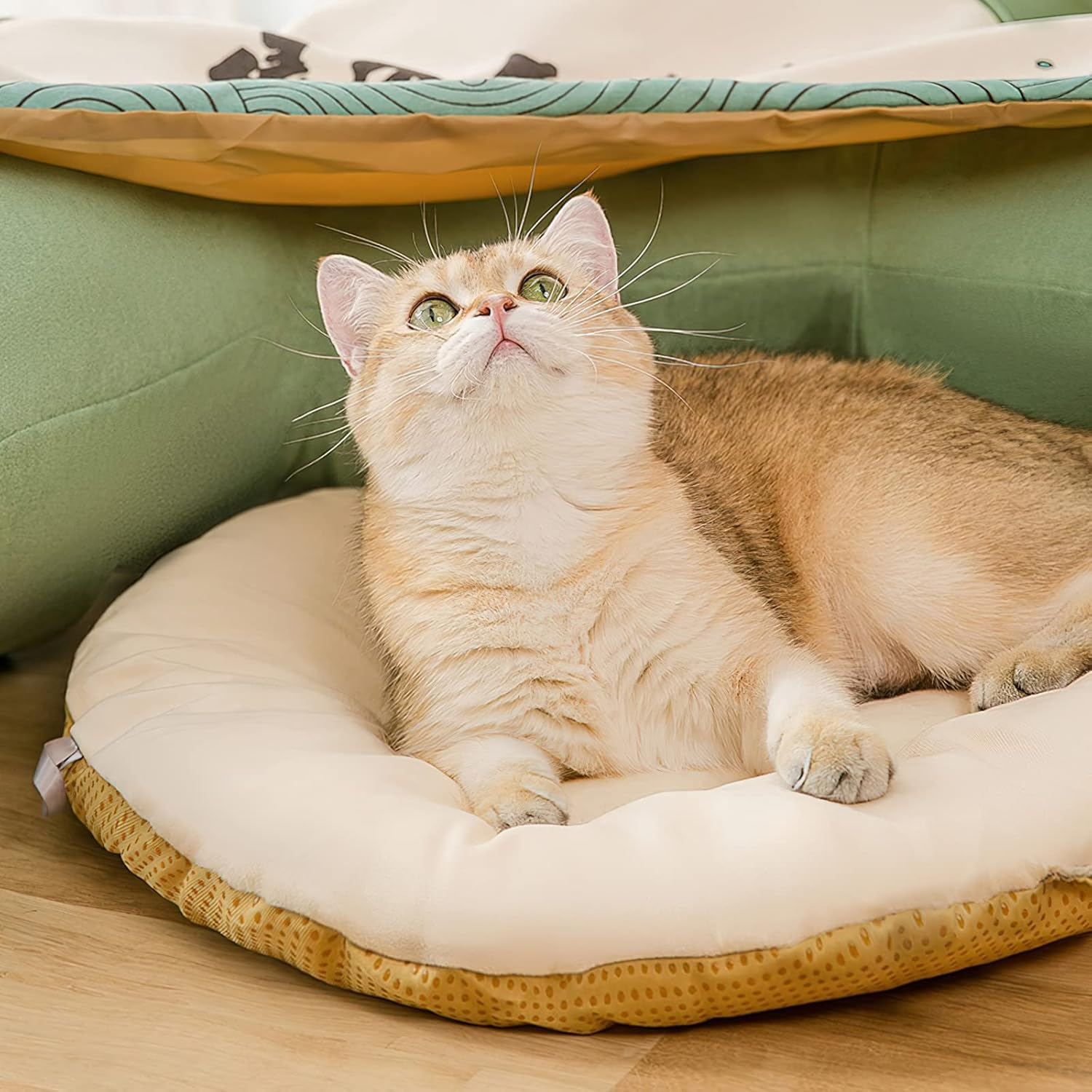 Galat&eacute;e Cat Tunnel, Cat Bed for Indoor Use, Pet Cave Bed with 1 Hanging Scratching Balls, Foldable round Cat Tunnel, Cat Tunnel Bed (Blue)