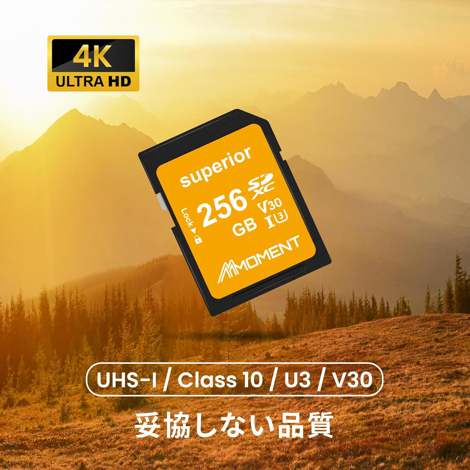 MMOMENT SD Card, 256 GB Memory Card, Supports 4K Videos, Digital Cameras/Slr/V30/Class 10/UHS-I/U3 (Up to 95 Mb/S Read) image number 3