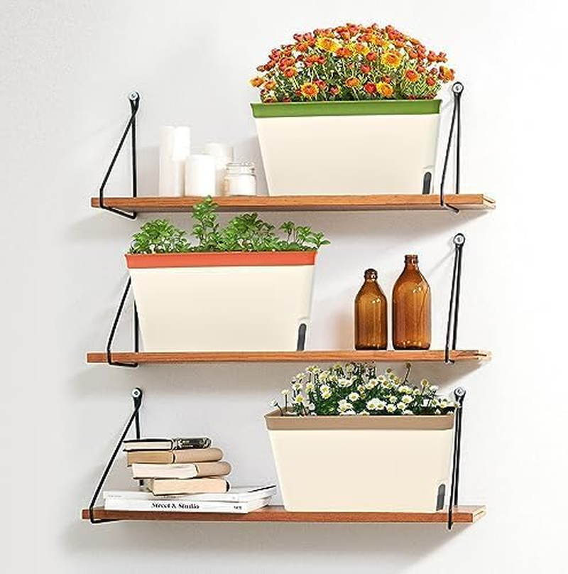 Self Watering Plant Pots, Set of 3 Rectangular Windowsill Herb Planter Box with Visual Water Level Window, Modern Plastic Herb Flower Pots for Indoor Outdoor Garden Balcony Planters