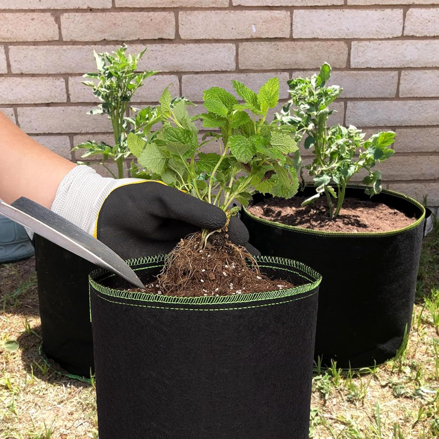 5-Pack Plant Grow Bags, Heavy Duty Nonwoven Aeration Fabric Pots, Reusable Garden Planter Pots for Vegetables, Flowers, Plants (15 Gallon) image number 2