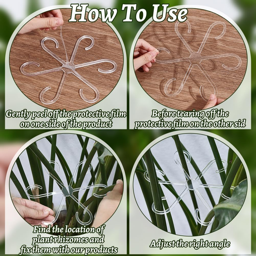 Climbing Houseplant Stem Supports,4Pcs Clear Plastic Flower Plant Growth Stake Trellis,Stem Support Hooks Plant Vine Wall Clip Plant Support Stake (A) image number 6