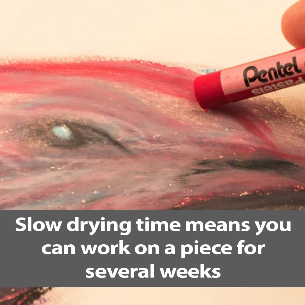 Pentel Arts Oil Pastels, One Pack of 36 Assorted Colours (OPHN-36) image number 3