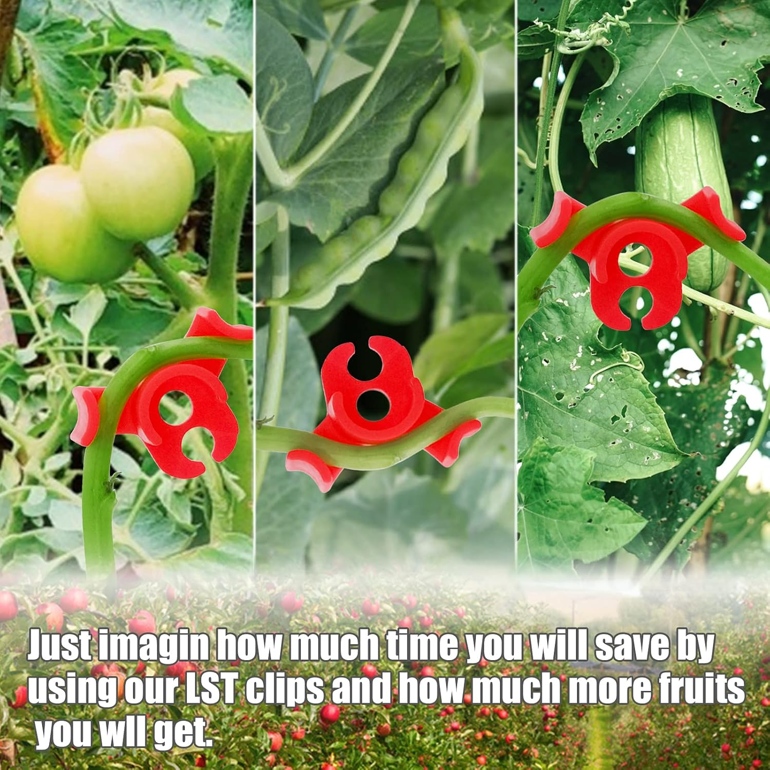 Business King Plant Training Clips 30 Pcs 90 Degree New Generation Low Stress Plant Clips to Bend Plant Clips to Train Plant (30 Pcs) image number 5