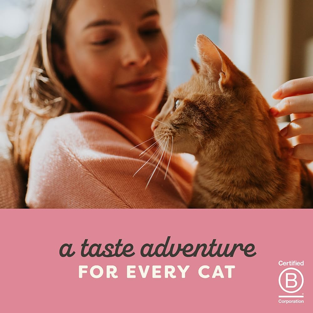 Applaws 100% Natural Wet Cat Treat Chicken Bone Broth with Chicken Breast Soup, Limited Ingredients Pet Food 80G (Pack of 6) image number 6