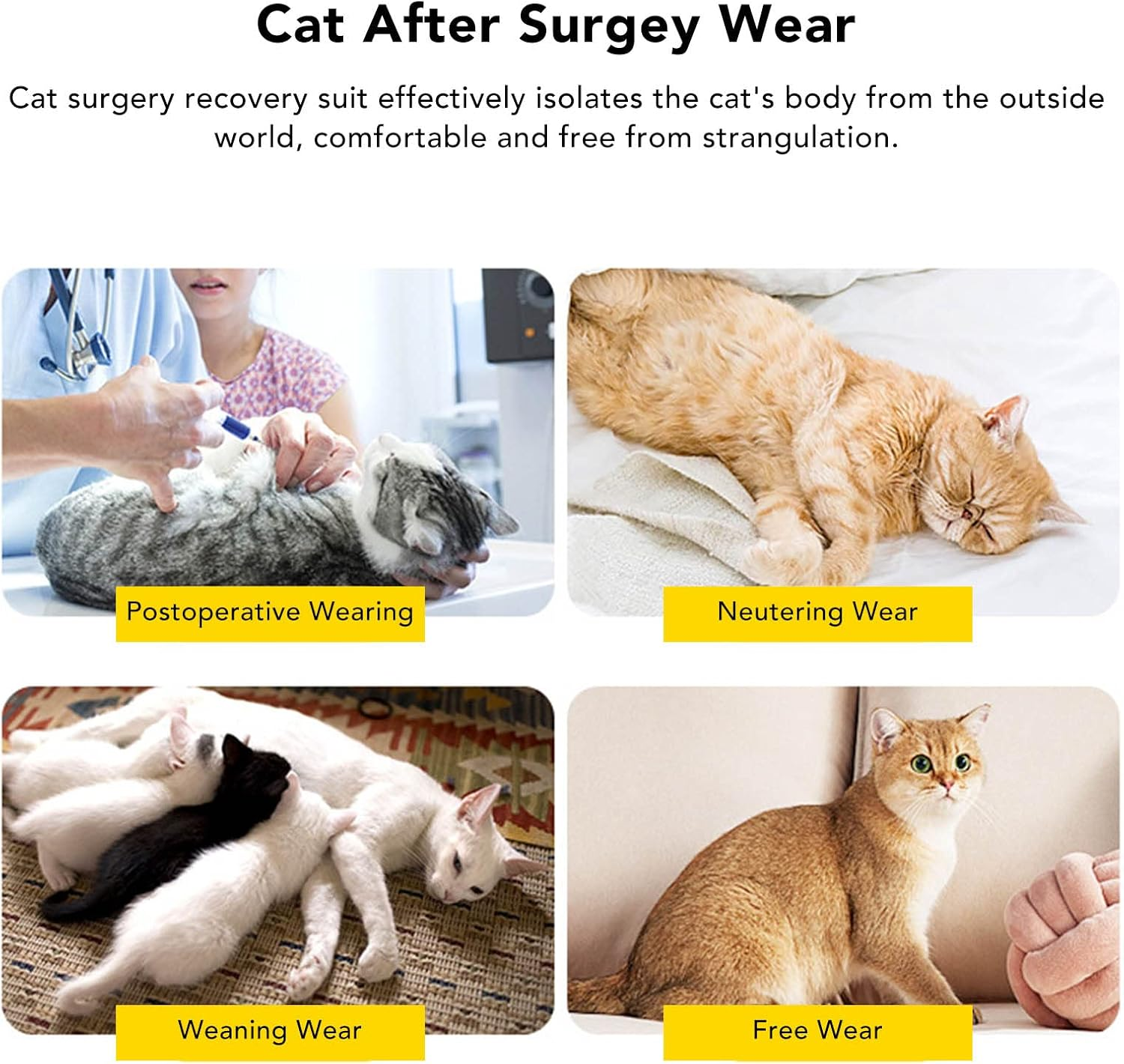 Cat Recovery Suit, Lace Neckline Cat Recovery Shirt with Adjustable Buckle, Kitten Surgry Full Bodysuit Bandages Cone E-Collar Alternative for Cats Kitten (M) image number 1