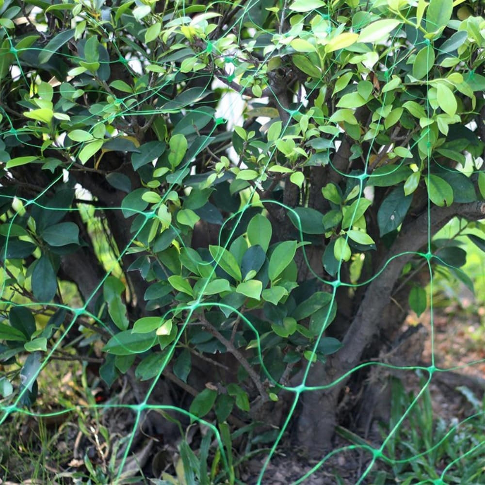 Skycabin 1.7X 4 M Plastic Pea and Bean Netting Fence Trellis Netting Green Climbing Netting Support for Climbing Plant, Fruits, Vegetables, Vines, Grow Tents image number 4