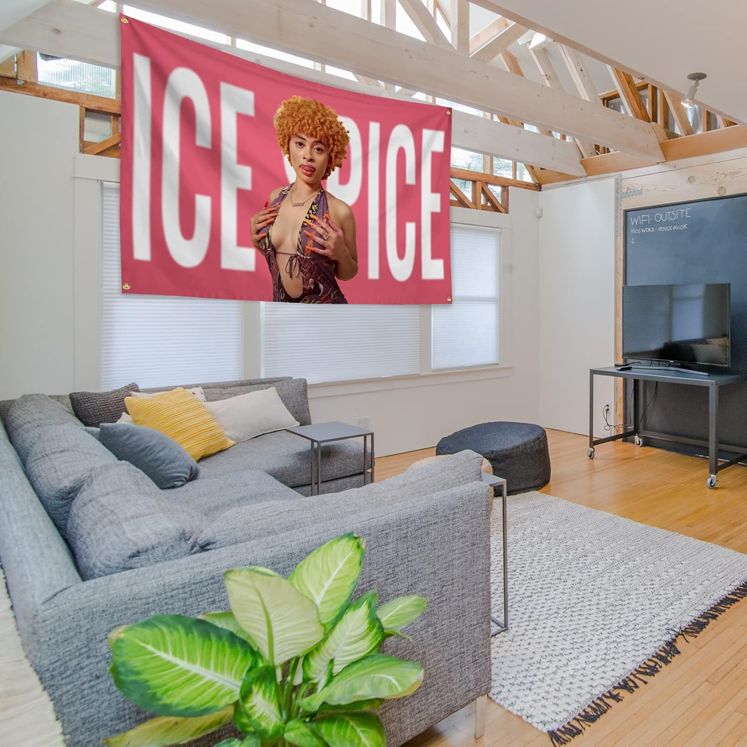 Ice Spice Flag Tapestry Funny Tapestries for College Dorm Decor Bedroom Livingroom Dormitory Wall Hanging with 4 Bass Gromments 3X5 Feet (Colour2) image number 5