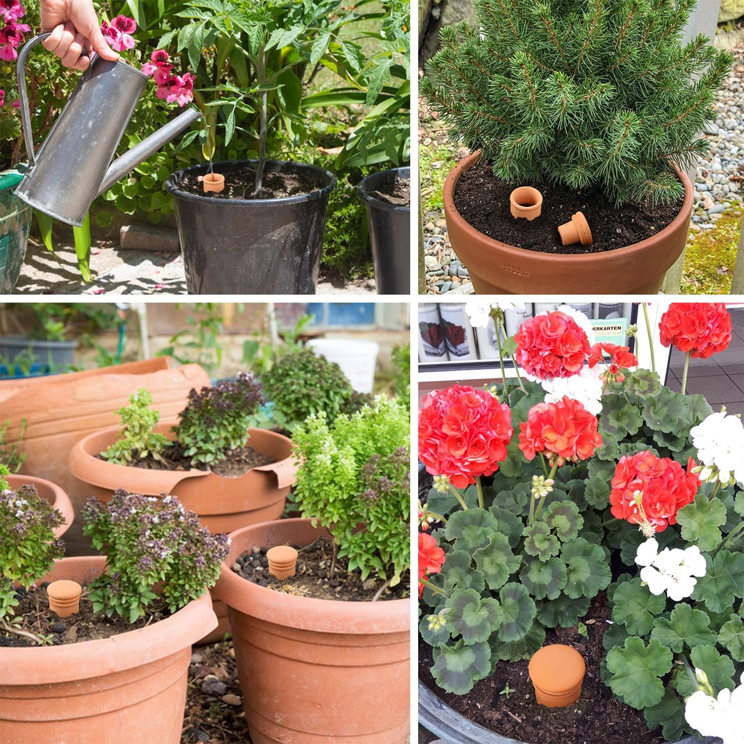 2Pcs Large Plant Watering Globes Ollas 10&times;5&times;5Inch 61Oz Terracotta Watering Pot Self Watering Planter Terra Cotta Clay Watering Spikes for Indoor Outdoor Plants Indoor Outdoor Large Reservoir Bulbs