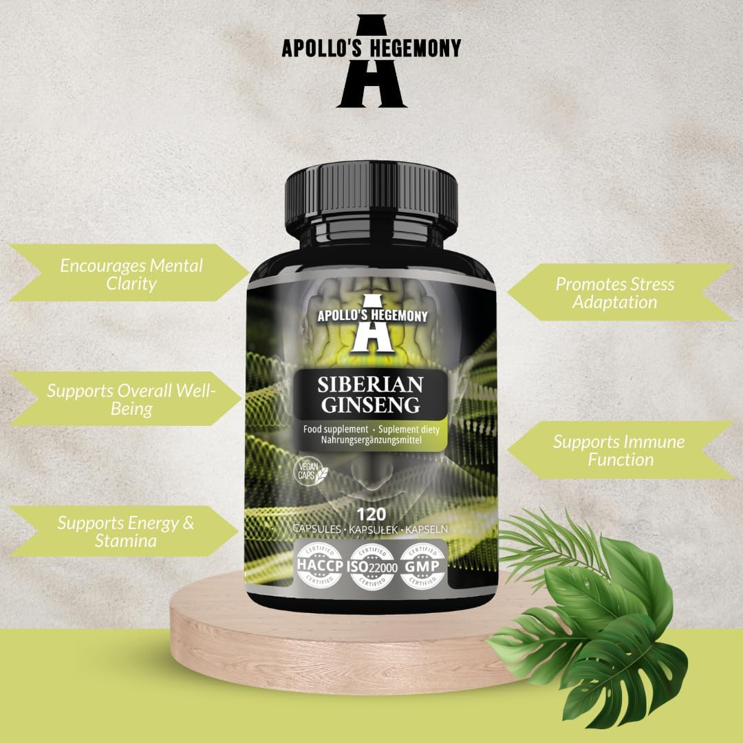 Siberian Ginseng 500 Mg - 120 Vegan Capsules - 4 Month Extract Standarized to 0,8% Eleutherosides B + E - Dietary Supplement by Apollo'S Hegemony image number 6