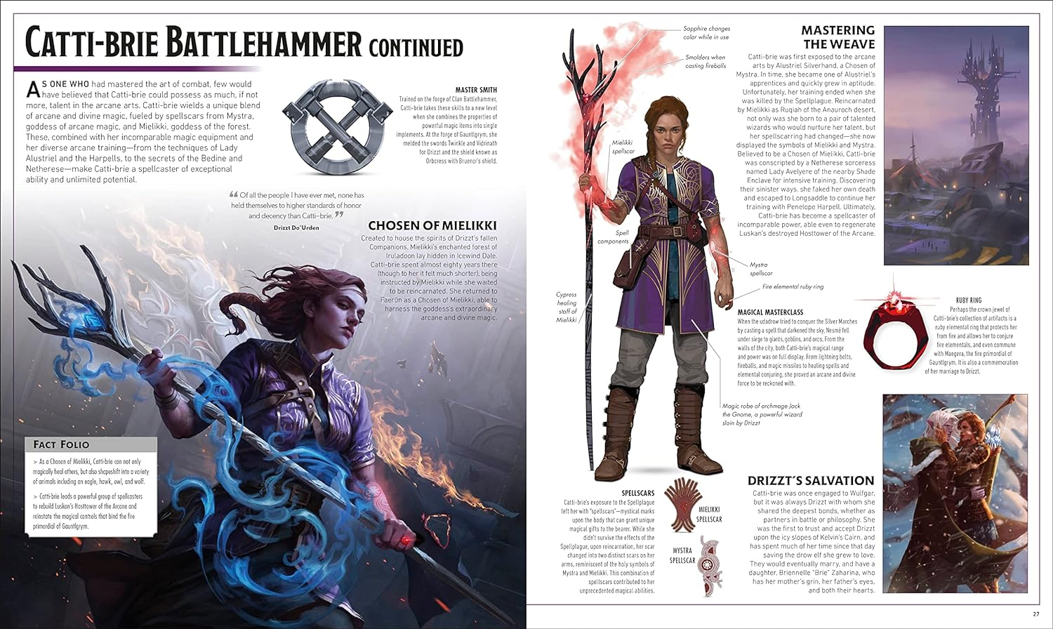 Dungeons & Dragons the Legend of Drizzt Visual Dictionary