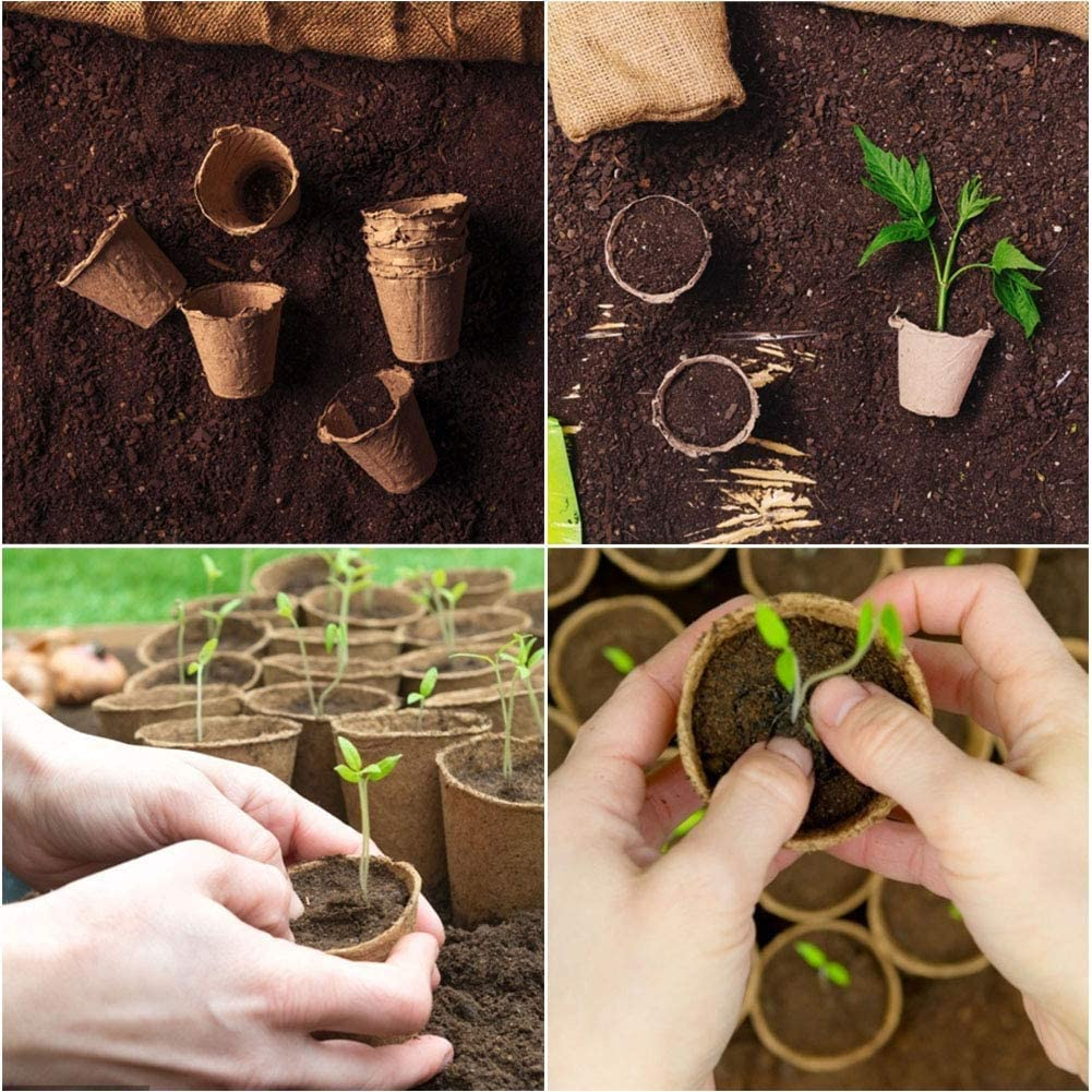 Skycabin Biodegradable Peat Pots for Seed Starting 50PCS 8CM Garden Nursery 100% Natural Plantable Seedling Pots for Plant Starters, Seedlings, Saplings, Flowers, Vegetables image number 1