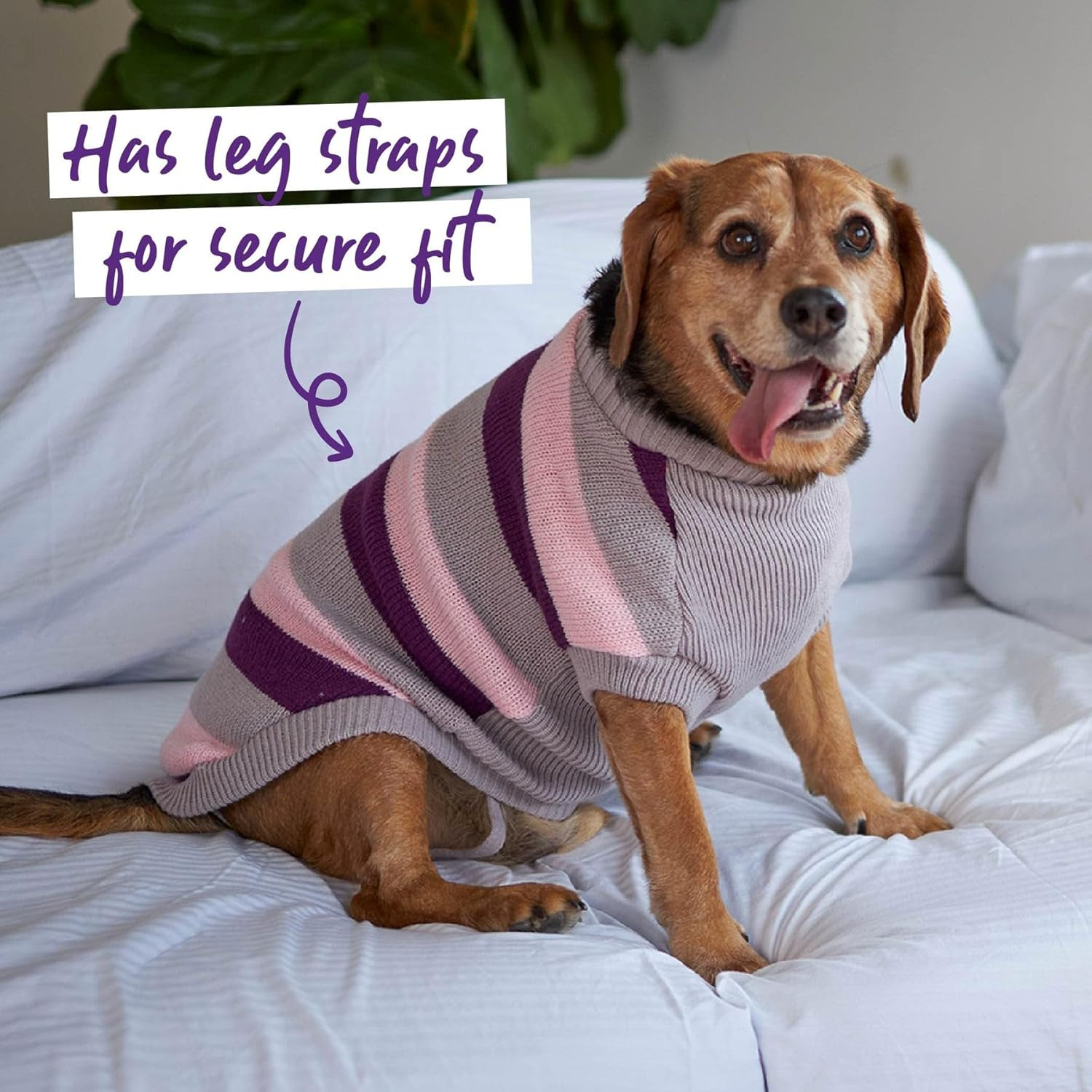 Kazoo Chestie Dog Jumper, Cherry Ripe, 2X-Large image number 6