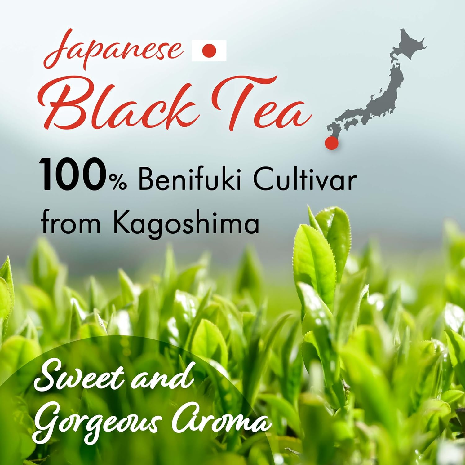 YAMASAN KYOTO UJI Sakura Japanese Loose Leaf Black Tea Bag 3G&times;15Bags,Cherry Blossom Flavored Tea, Blended with Cherry Leaves