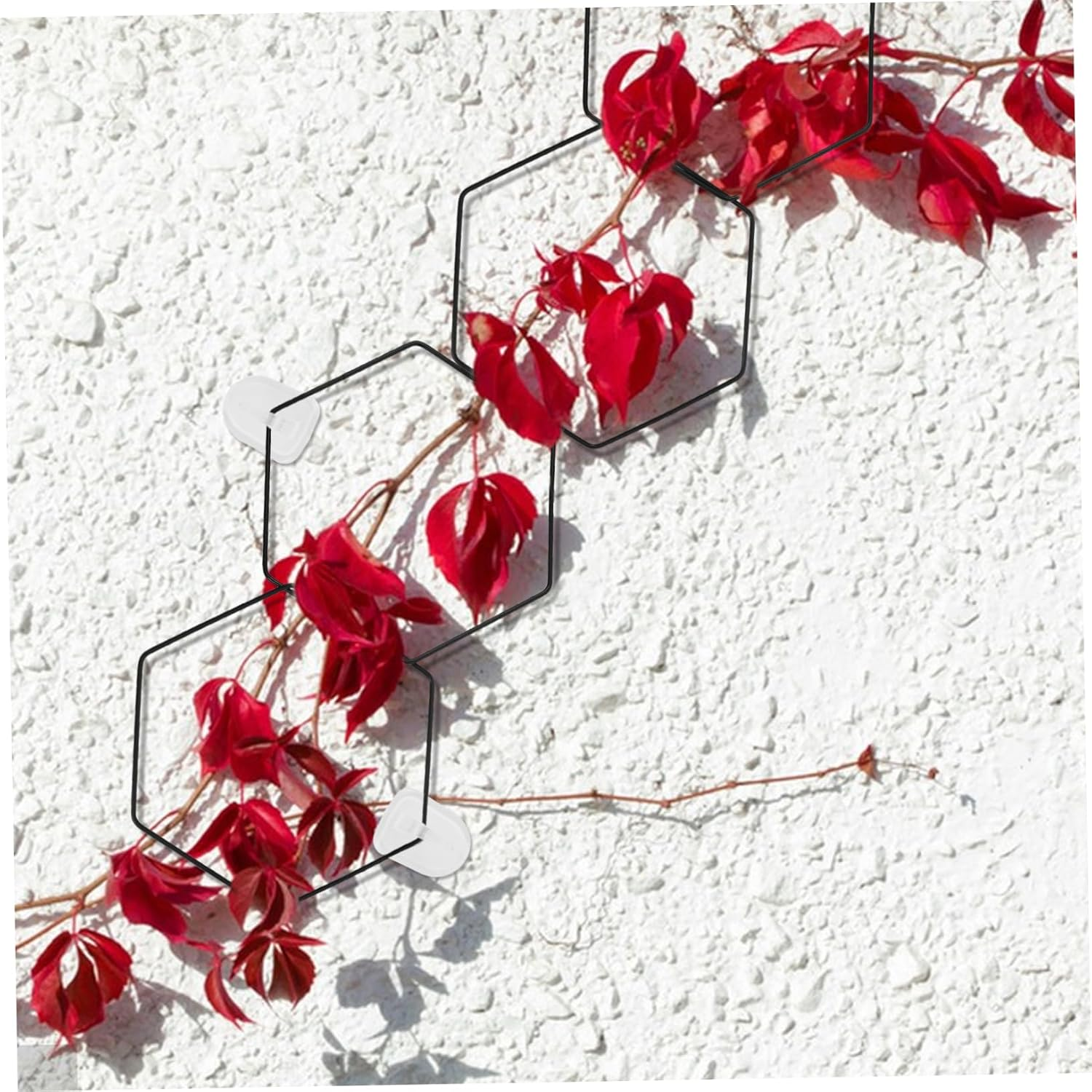 Parliky Plant Chain Trellis Garden Trellis for Climbing Plants Support Outdoor Support Unique Rack Garden Supplies