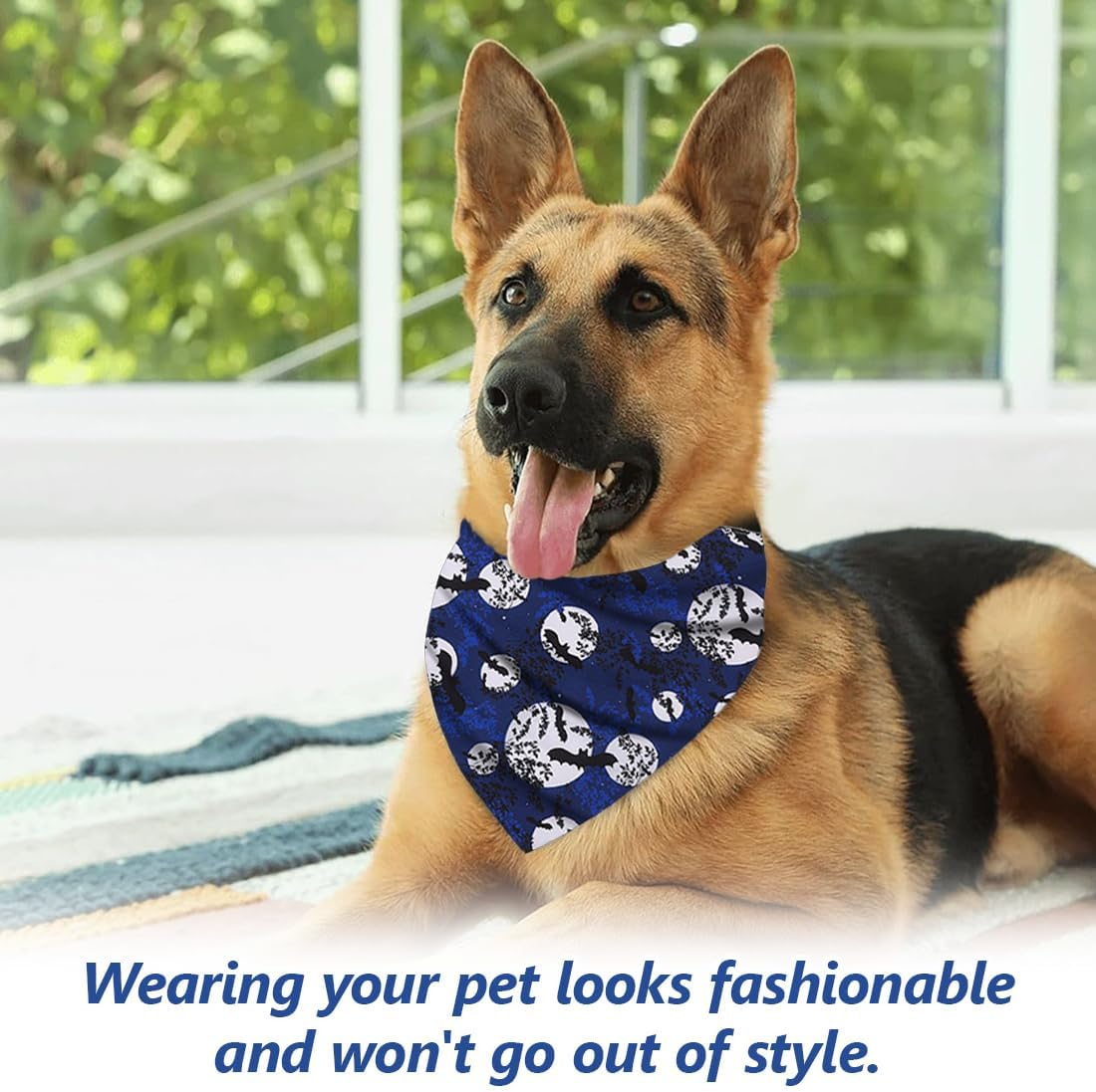 WUSJCOF Adjustable Triangle Dog Bandana with Pumpkin Pattern Witch, Halloween Dog Costume for Large, Medium, Small Dogs, Pack of 2 image number 4