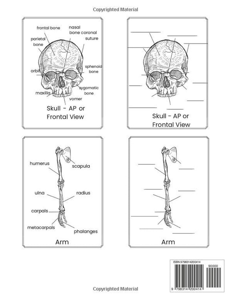Human Anatomy Coloring Book Skeletal System: Best Way to Learn Anatomy: Detailed Illustrations for Medical Students, Professionals, and Enthusiasts image number 1